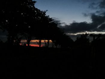 Silhouette trees on field against sky at sunset