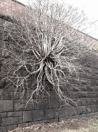 built structure