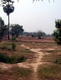 Scenic view of grassy field against sky