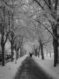 Rear view of people walking on snow covered footpath