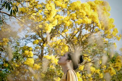 Young woman looking up against trees