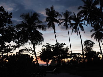 Silhouette trees against sky during sunset