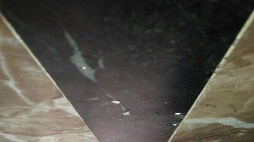 Low angle view of tree against sky