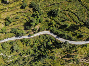 High angle view of road amidst trees