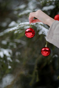 Cropped hand of woman decorating christmas tree