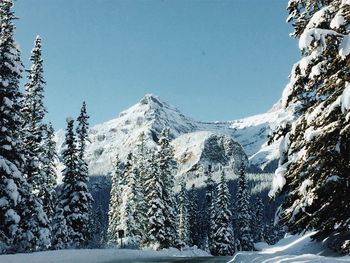 Scenic view of snowcapped mountains against clear blue sky