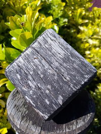 High angle view of wood amidst trees in forest