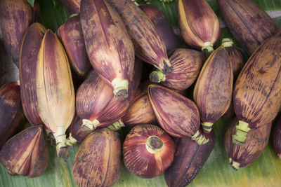 Close-up of banana flowers for sale at market