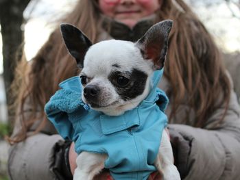 Close-up of dog