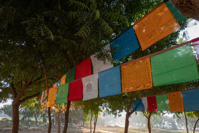 Low angle view of multi colored flags hanging on beach