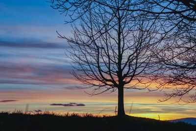 Silhouette bare tree on field against sky during sunset