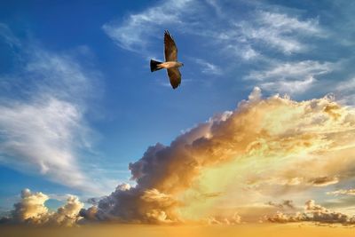 sky