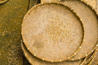 High angle view of eggs in container