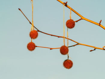 Low angle view of decoration hanging against sky