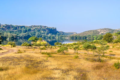 Scenic view of landscape against clear blue sky