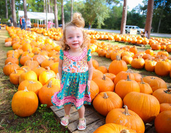 Portrait of girl standing amidst pumpkins at park during autumn