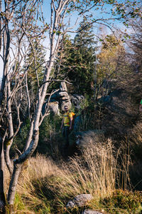 Man standing by plants in forest