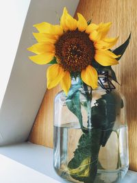 Close-up of flowers in vase