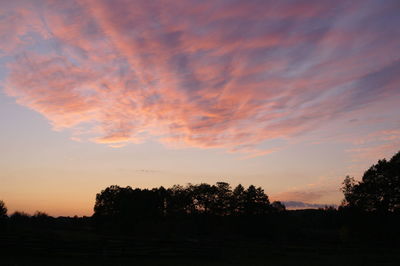 Silhouette trees against sky during sunset