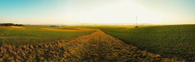 Scenic view of agricultural field against sky