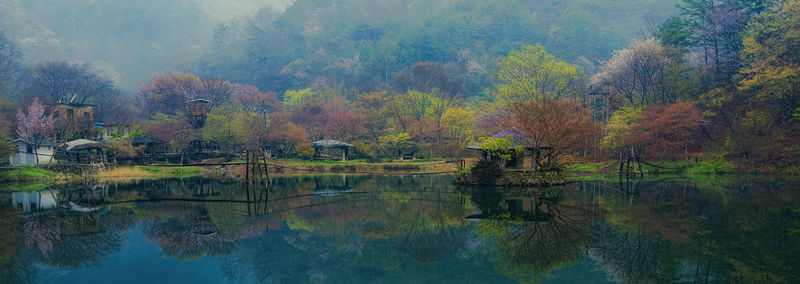 Scenic view of lake by trees during autumn