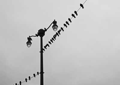 Low angle view of silhouette birds perching on cable and street light against clear sky