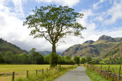 Road passing through landscape