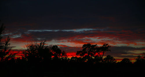 Silhouette trees on landscape against sky at sunset