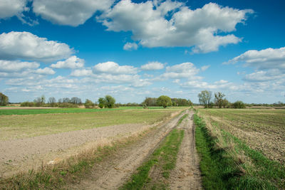 Scenic view of dirt road and agricultural field against sky