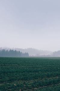 Scenic view of field against sky during foggy weather