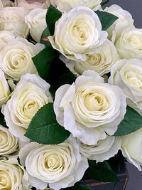 Close-up of rose bouquet