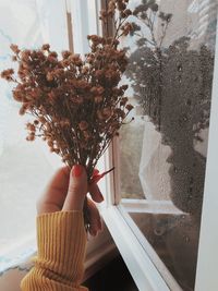 Cropped hand of woman holding dry flowers by wet window