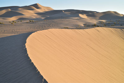 Sand dunes in a desert