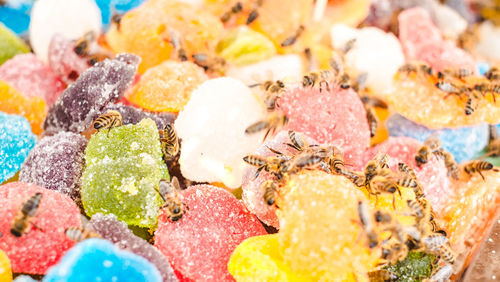 Bees on jelly mix sugar roll up sweet jelly and flavor fruit