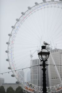 Low angle view of ferris wheel against sky