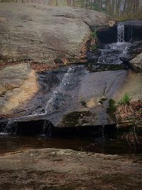 Close-up of wet farm