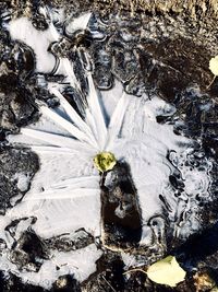 High angle view of snow on rock on field