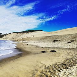 Scenic view of beach against blue sky