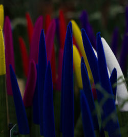 Close up of multi colored wall