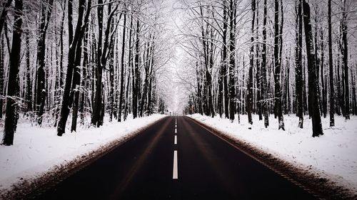 Road amidst frozen trees during winter