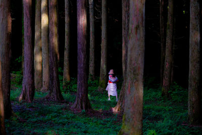 Rear view of woman walking in forest