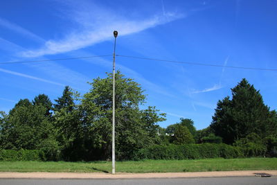 Trees on landscape against blue sky