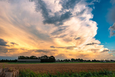 Scenic view of agricultural field against sky during sunset