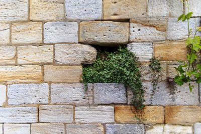 Full frame shot of stone wall