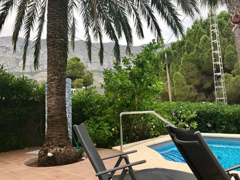 Swimming pool by trees against sky