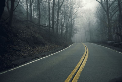 Empty road amidst trees in forest