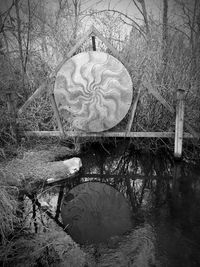 Reflection of bare trees in lake