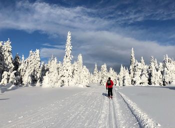 Serenity, cross-country skiing in the mountain