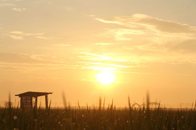 Silhouette plants on field against sky during sunset