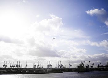 Birds flying over river in city against sky